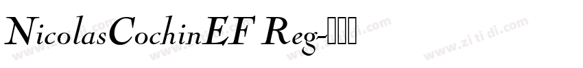 NicolasCochinEF Reg字体转换